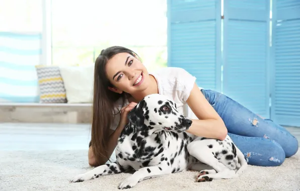 Собака, далматин, dog, dalmatian
