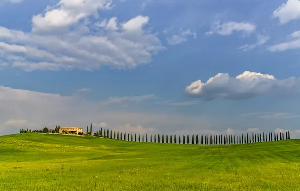 Картинка поле, небо, трава, облака, деревья, дом, холмы, Италия