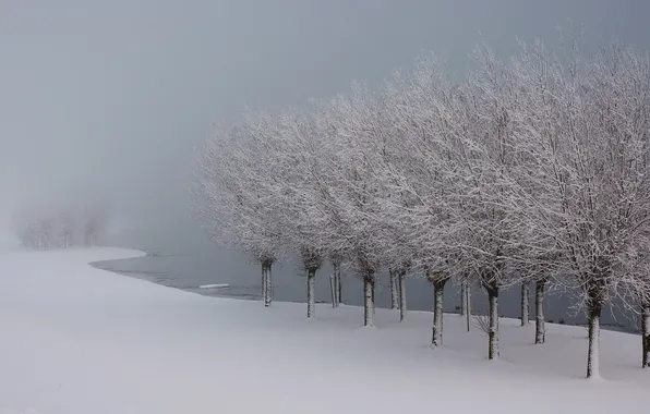 Картинка зима, снег, деревья, пейзаж, туман