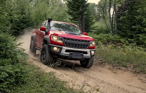 Дорога, красный, пыль, Chevrolet, пикап, Colorado, 2019, ZR2 Bison