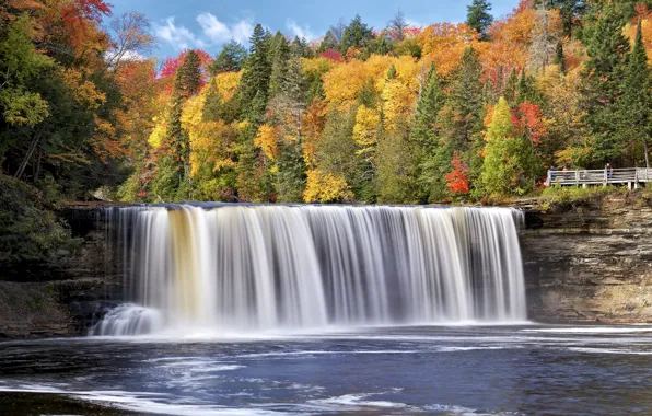 Картинка осень, лес, деревья, река, водопад, Мичиган, Michigan, Tahquamenon Falls State Park