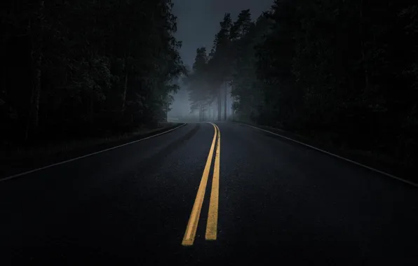 Картинка дорога, лес, асфальт, туман, сумерки