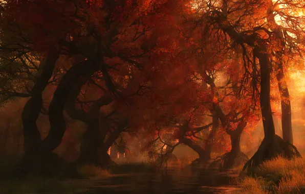 Картинка осень, деревья, природа, красота