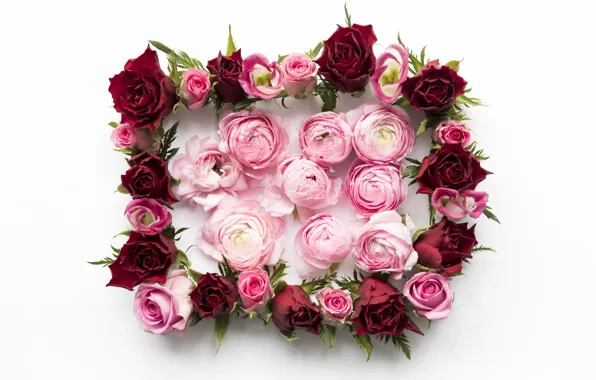 Цветы, розы, red, розовые, pink, flowers, пионы, roses