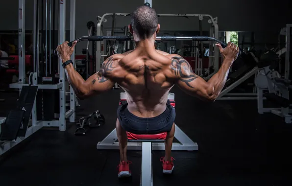 Картинка man, back, workout, bodybuilding