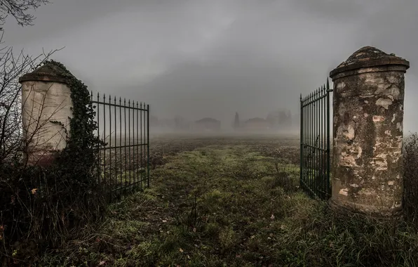 Картинка поле, туман, ворота