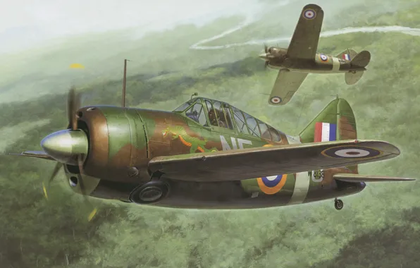 Истребитель, Новая Зеландия, США, Палубный, RNZAF, F2A, Brewster B-339 Buffalo «Pacific Theater»