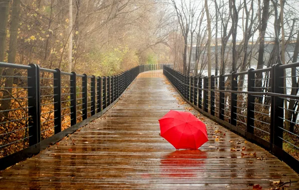 Картинка bridge, парк, river, leaves, зонт, fall, дождь, листья