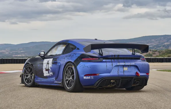 Porsche, Cayman, Rear