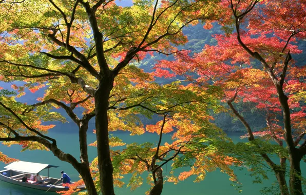 Картинка Осень, Япония, Лодка