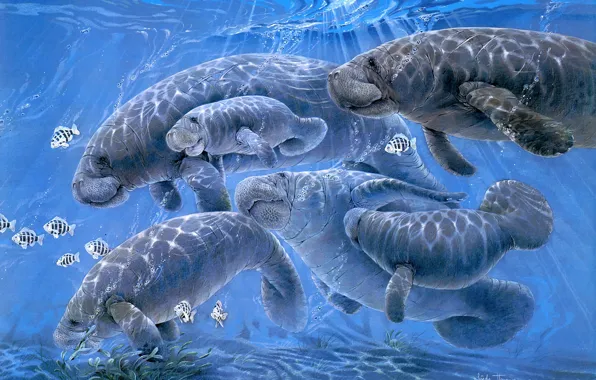 Море, вода, свет, рыбки, природа, поза, рисунок, дно
