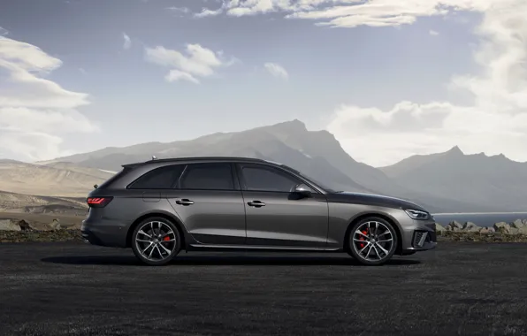 Audi, вид сбоку, универсал, 2019, A4 Avant, S4 Avant