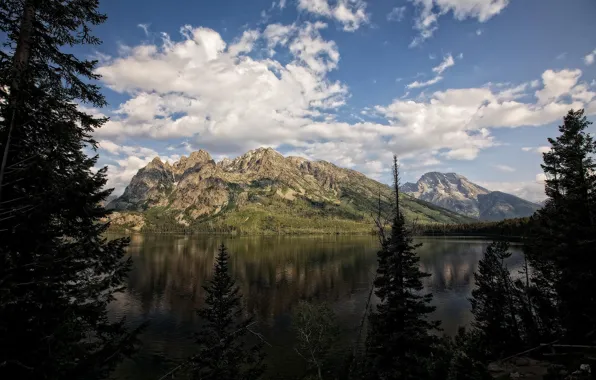 Горы, озеро, Wyoming, Jenny Lake, Teton National Park