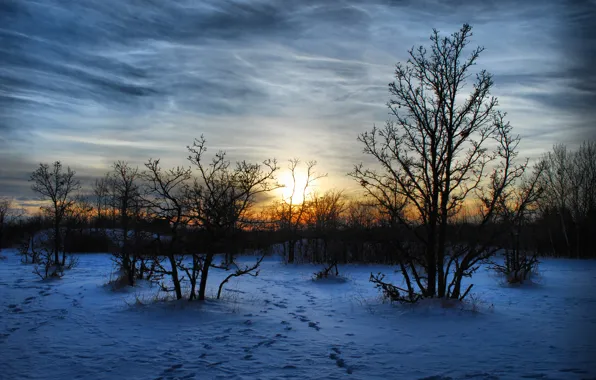 Картинка зима, снег, деревья, пейзаж, закат, природа, вечер, мароз