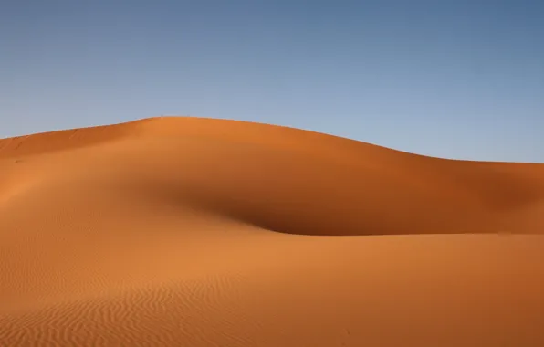 Landscape, sand, sahara