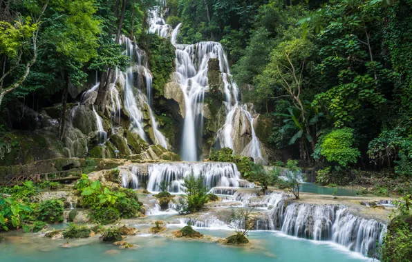 Картинка лес, деревья, камни, скалы, водопад, Laos, Kuang Si Waterfall
