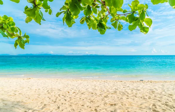 Песок, море, пляж, лето, небо, summer, beach, sea