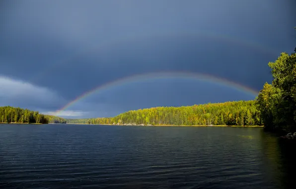 Лес, небо, облака, деревья, пейзаж, природа, озеро, дождь