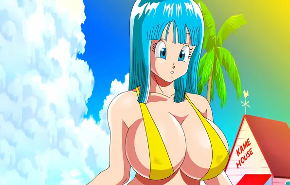 Girl, sexy, cleavage, beach, sky, long hair, boobs, anime