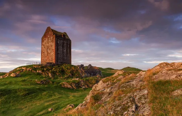 Трава, скалы, башня, руины, Scottish Borders, Smailholm Tower