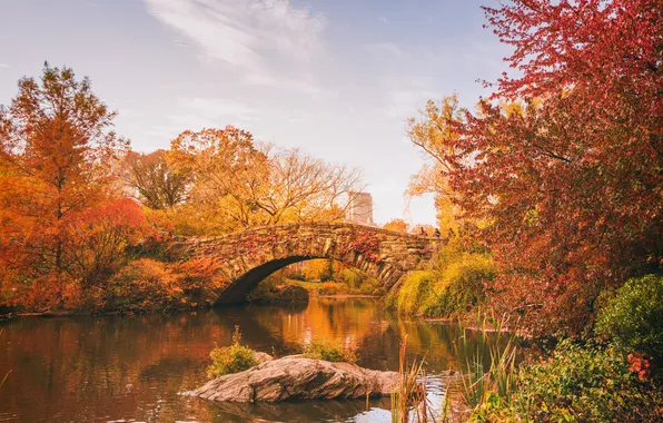 Осень, листья, деревья, озеро, отражение, люди, листва, Нью-Йорк