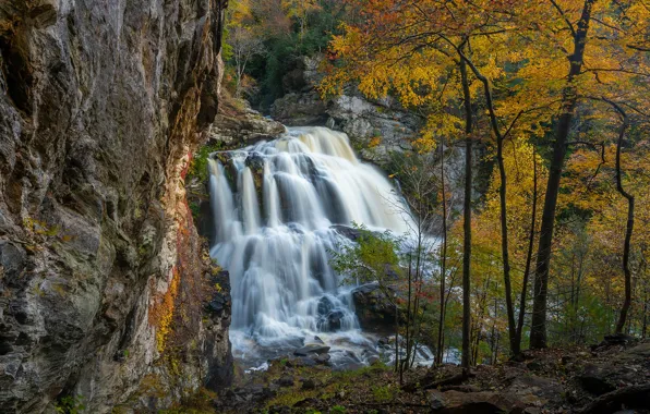 Картинка осень, деревья, скала, водопад, каскад, North Carolina, Северная Каролина, Nantahala National Forest