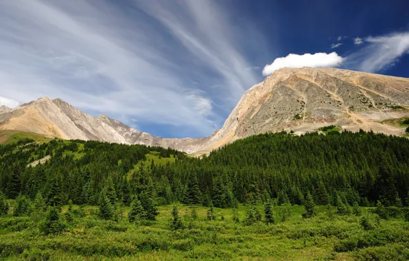 Картинка лес, небо, горы, Канада, Alberta, Canada, Kananaskis