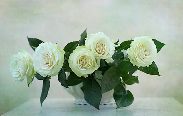WHITE, FLOWERS, NATURE, FLOWER, ROSES