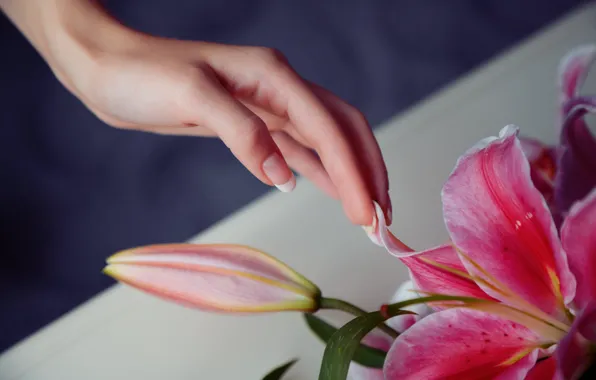 Картинка цветок, девушка, природа, рука, палец