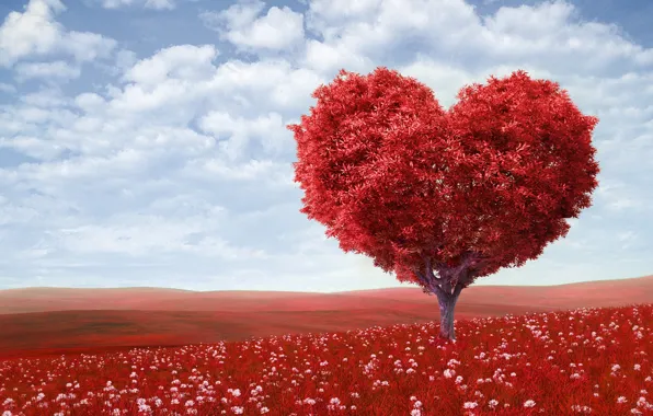 Картинка цветы, flowers, сердце, романтика, День святого Валентина, tree, дерево, поле, love, sky, облака, clouds, Valentine's …