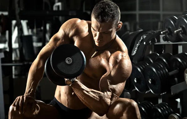 Muscles, fitness, dumbbell, bodybuilder