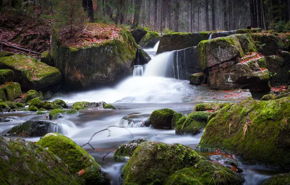 Лес, камни, берег, водопад, мох, поток, валуны