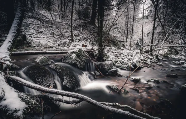 Зима, лес, снег, речка, frozen, Scotland, Perthshire