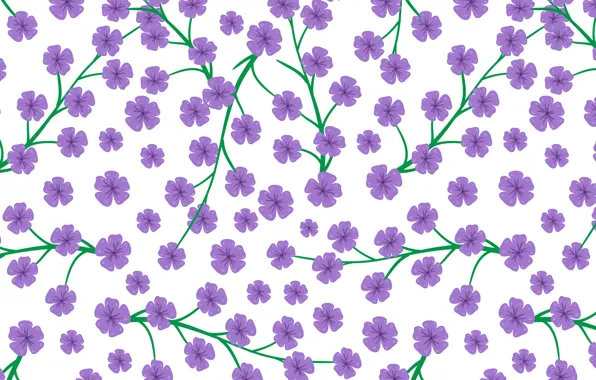 Цветы, white, flowers, background, pattern, purple