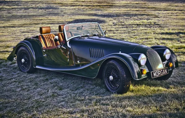 Картинка 2008, 4/4, Morgan, суперкар, зелёный, Sport, Морган, поле