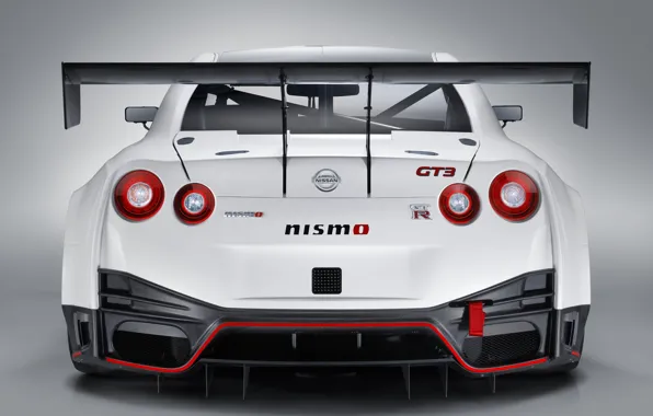GTR, Nissan, GT-R, гоночное авто, спойлер, вид сзади, GT3, 2018