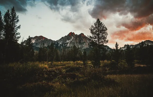 Twilight, trees, sunset, mountains, clouds, dusk, red sky, pine