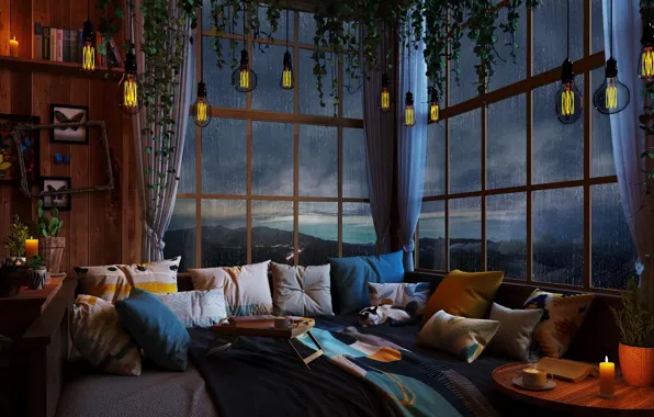 Lights, relax, rain, night, cat, room, sofa