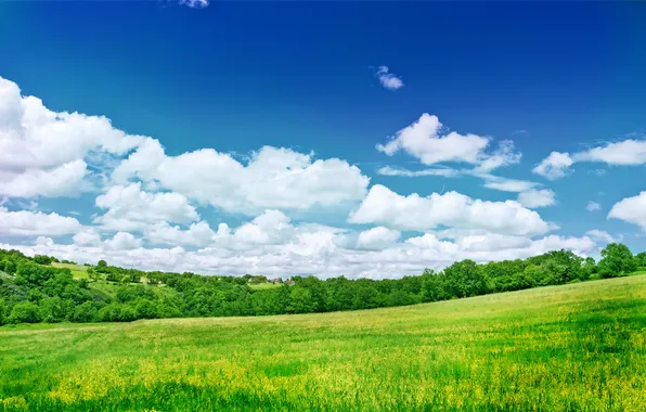 Поле, небо, деревья, природа, пейзажи, облока
