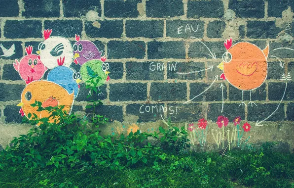 Картинка трава, цвета, цветы, стена, граффити, голубь, кусты, куры