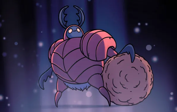 Dung Defender, Hollow Knight, Team Cherry