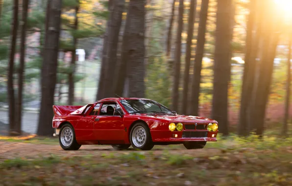 Картинка Lancia, Rally, drive, 1982, Lancia Rally 037 Stradale