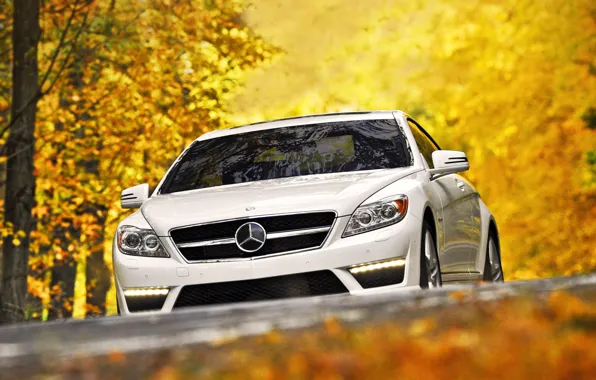 Картинка осень, белый, листья, деревья, Mercedes-Benz, суперкар, мерседес, передок