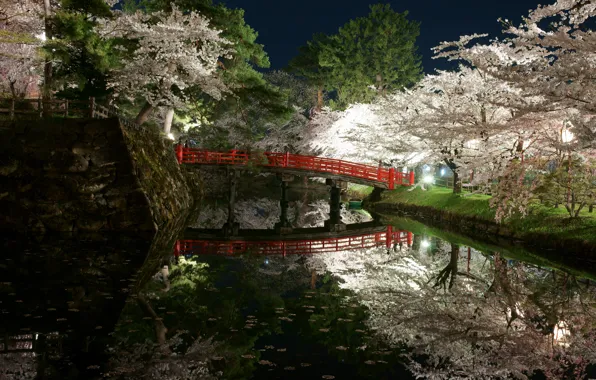 Картинка свет, деревья, цветы, ночь, мост, парк, япония, весна
