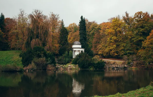 Природа, парк, германия, кассель