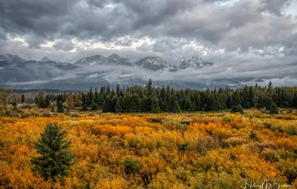 Осень, лес, облака, деревья, горы, Grand Teton National Park
