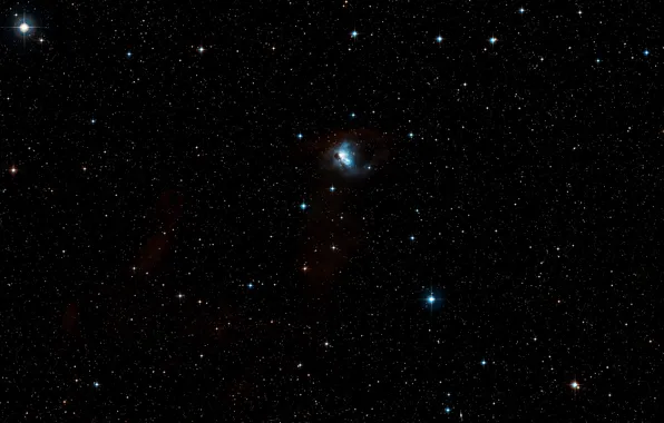 Nebula, NGC 1788, Digitized Sky Survey 2, Constellation Orion, Bat Nebula