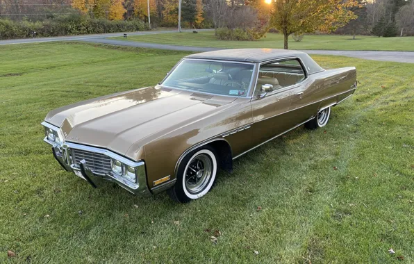 Coupe, Hardtop, Buick, Electra, '1970, 225