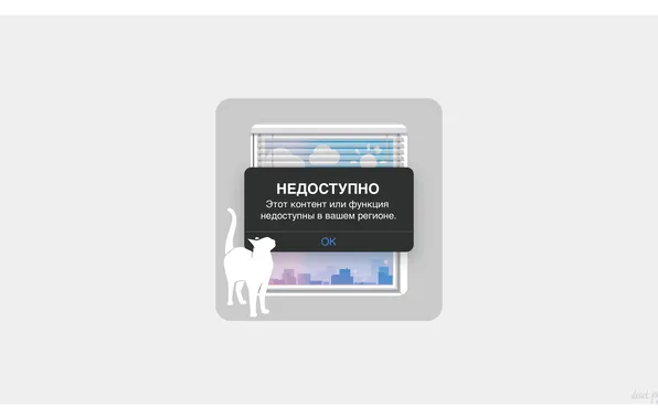 Лето, кот, доступ, окно, регион