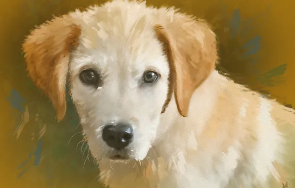 Картинка портрет, собака, щенок